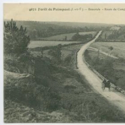 Forêt de Paimpont (I.-et-V.) - Beauvais - Route de Campénéac et Vaux de Chatenay.