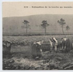 Extraction de la tourbe au marais de Saint-Michel