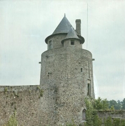Fougères. - Château.