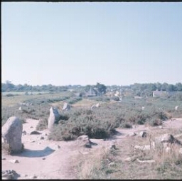 Carnac. - Kercado : alignements, megalithes.
