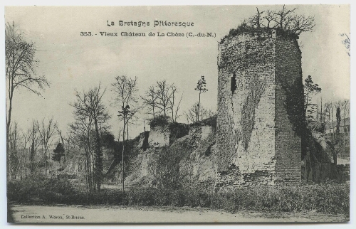 Vieux Chateau de la Chèze (C.-du-N.)