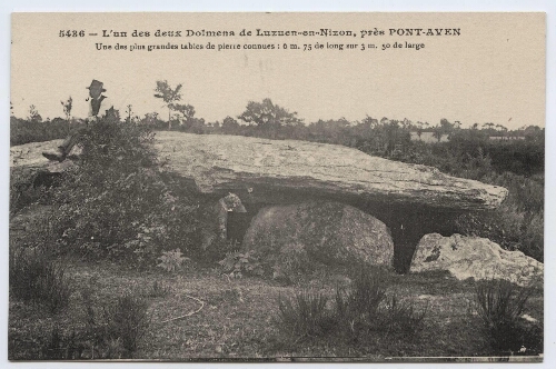 L'un des deux Dolmens de Luzuen-en-Nizon, près PONT-AVEN