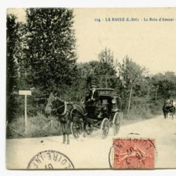 LA BAULE (L.-Inf.) - Le Bois d'Amour - L'Allée Centrale
