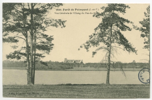 Forêt de Paimpont (I.-et-V.). Vue Générale de l'Etang du Pas-du-Houx.