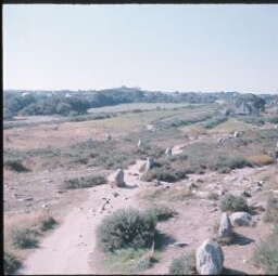 Carnac. - Kercado : alignements, megalithes.