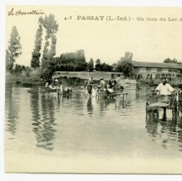 PASSAY (L.-Inf.) - Un Coin du Lac de Grand-Lieu